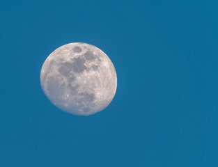 The Moon in a Waxing Gibbous phase in the blue morning background. Detailed craters.