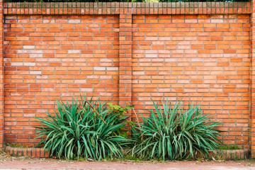 Brick wall with plants in a flower pot