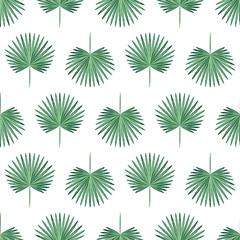 Seamless background of palm leaves