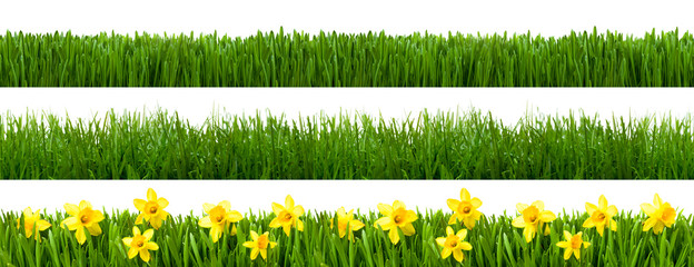 Gras Texturen als Panorama Hintergrund