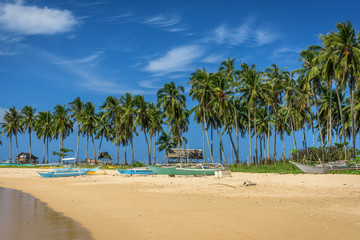Abandoned boats on a beach of El Nido, Palawan, Philippines with palm trees in background