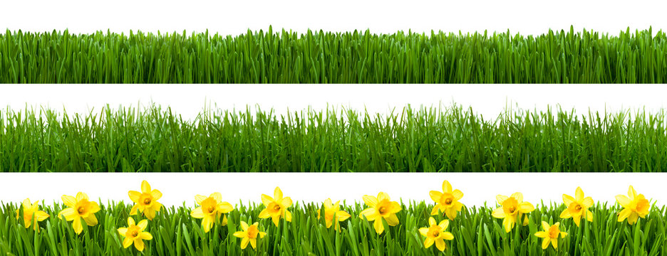 Gras Texturen als Panorama Hintergrund