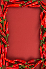 the red hot chilly pepper which are laid out by a frame on a red background. a concept of spicy food: paprika seasoning and the red hot peppers. top view, flat lay.