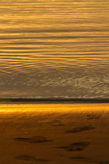 Footprints on the golden sand
