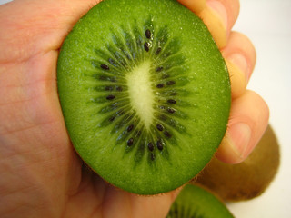 kiwi in hand closeup