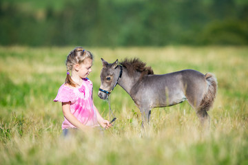 Small child with a small miniature horse in field. Girl and foal outdoors. Cute mini horse and child in summertime