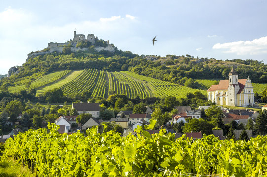 Weinregion Falkenstein im Weinviertel, Österreich, Niederöster