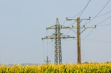 Masten, Leitung, Österreich, Niederösterreich, Weinviertel