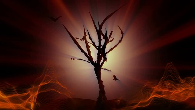 Looped seamless footage for your event, concert, title, presentation, site, DVD, music videos, video art,holiday show, party, etc&hellip; Also useful for motion designers, editors and VJ's for led screens.
