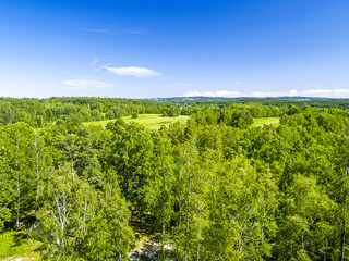 Fototapeta premium Blocksteinheide bei Gmünd, Österreich, Niederösterreich, Wald