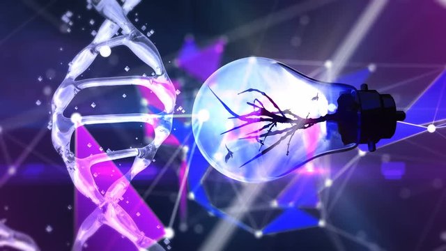Looped seamless footage for your event, concert, title, presentation, site, DVD, music videos, video art,holiday show, party, etc&hellip; Also useful for motion designers, editors and VJ's for led screens.
