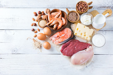 Assortment of healthy protein source and body building food