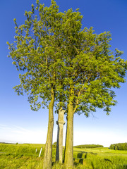 Agrarlandschaft, Österreich, Niederösterreich, Waldviertel