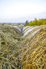 Strohballen, Österreich, Niederösterreich, Südliches NÖ, Pö