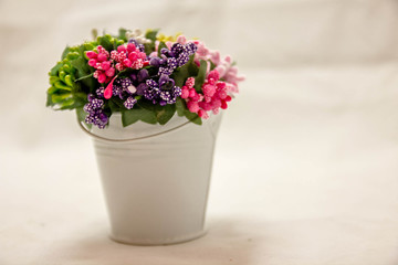 Fototapeta na wymiar Colorful flowers in white bucket
