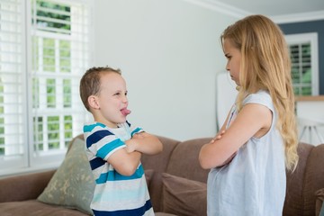 Brother teasing his sister while standing with arms crossed