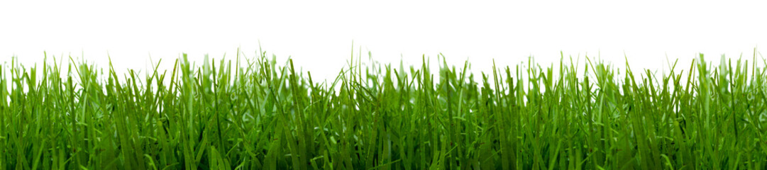 Panele Szklane  Panorama tekstury trawy