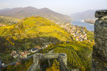 Obraz premium Wachau, herbstlicher Weingarten, Tausendeimerberg, Burgruine Hin
