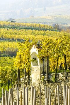 Wachau, herbstlicher Weingarten, Bildstock, &Ouml;sterreich, Nieder?
