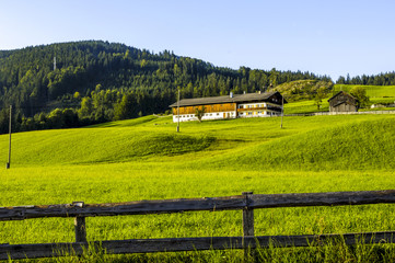 Traditionelles Bauernhaus auf einer Weide, &Ouml;sterreich, Tirol