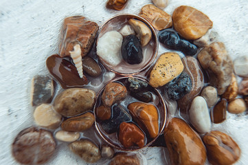 wedding rings in the sea pebbles on a white background