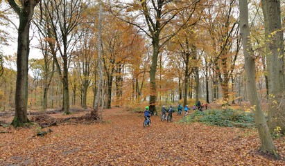 Un groupe de jeunes enfants pratique le vélo dans la forêt de Saint-Amand-les-Eaux avec leur moniteur