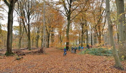 Fototapeta premium Un groupe de jeunes enfants pratique le vélo dans la forêt de Saint-Amand-les-Eaux avec leur moniteur