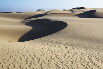 Oceano Dunes Natural Preserve, California