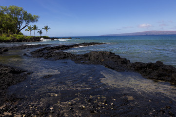 Fototapeta na wymiar Ahihi Cove, Maui, Hawaii