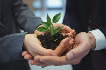 Businesspeople hand holding plant together in corridor