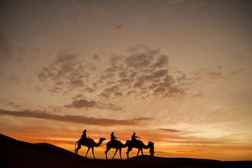 Fototapeta na wymiar Siluetas de camellos en el desierto