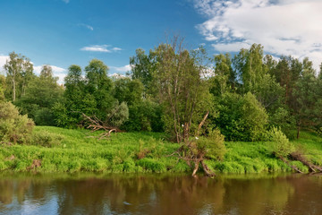Fototapeta na wymiar Summer field with river