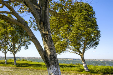 Obraz premium Schwarzes Meer, Touristen-Bade-Ort Mamaia, Rumänien, Schwarzmee