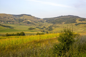 Fototapeta premium Reussen, traditionelles Dorf in Transsilvanien, Rumänien, Trans