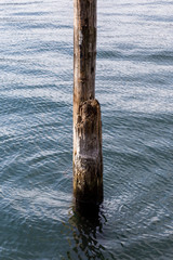 Lonely wooden pillar in a lake with reflection