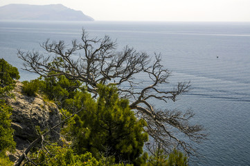 Krim, bei Sudak, Novij Svit, Neue Welt, K&uuml;ste, Ukraine, Sudak U