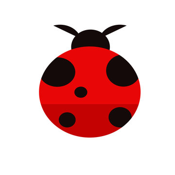 Ladybug flat icon. Isolated vector on white background.