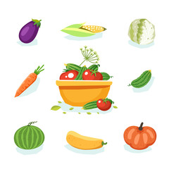 Fresh vegetables: cucumber, carrot, cabbage, corn, pumpkin, zucchini, eggplant, tomato