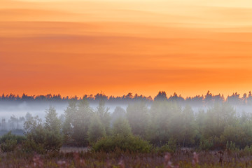 Foggy sunset in summer field