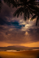 Fototapeta na wymiar Silhouette of palm tree at beautiful tropical sunset.