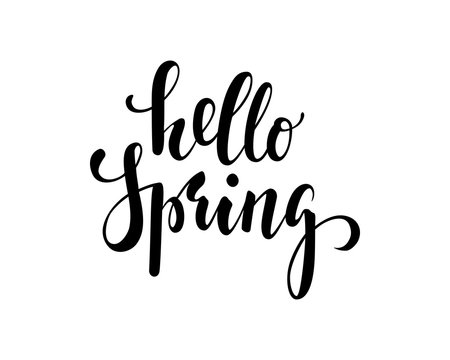 Hello Spring. Hand drawn calligraphy and brush pen lettering. design for holiday greeting card and invitation