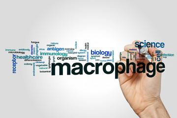 Macrophage word cloud