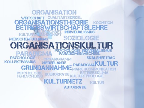 Organisationskultur