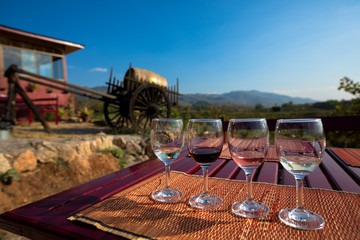 Wine tasting glasses at outdoor vineyard