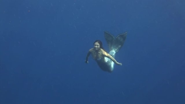 Young girl free diver model underwater on background swordfish mackerels in sea. Unique stunning footage of dangerous filming at camera. Extreme sport in marine landscape, corals, ocean inhabitants.