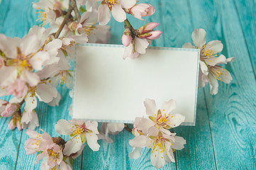 peach flowers and empty card on wooden background.