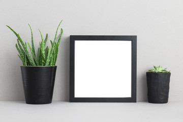 Photo frame with houseplant on a shelf. Mock up.