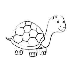 cute turtle pet isolated icon vector illustration design
