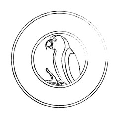 cute parrot mascot icon vector illustration design