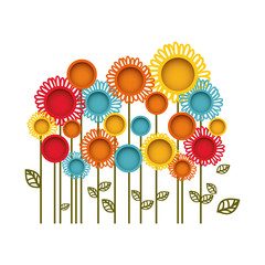 colorful flowers with leaves icon, vector illustration design